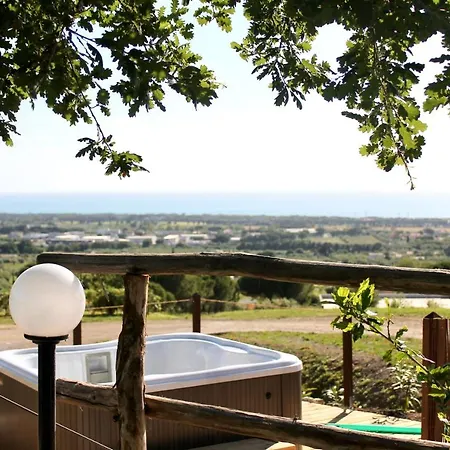 Del Conte * San Vincenzo