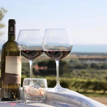 Del Conte Farm stay San Vincenzo